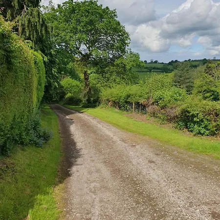 Northwales Aonb Static Caravan Extremely Private And Rural Caerwys Exterior photo