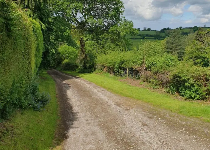 Northwales Aonb Static Caravan Extremely Private And Rural