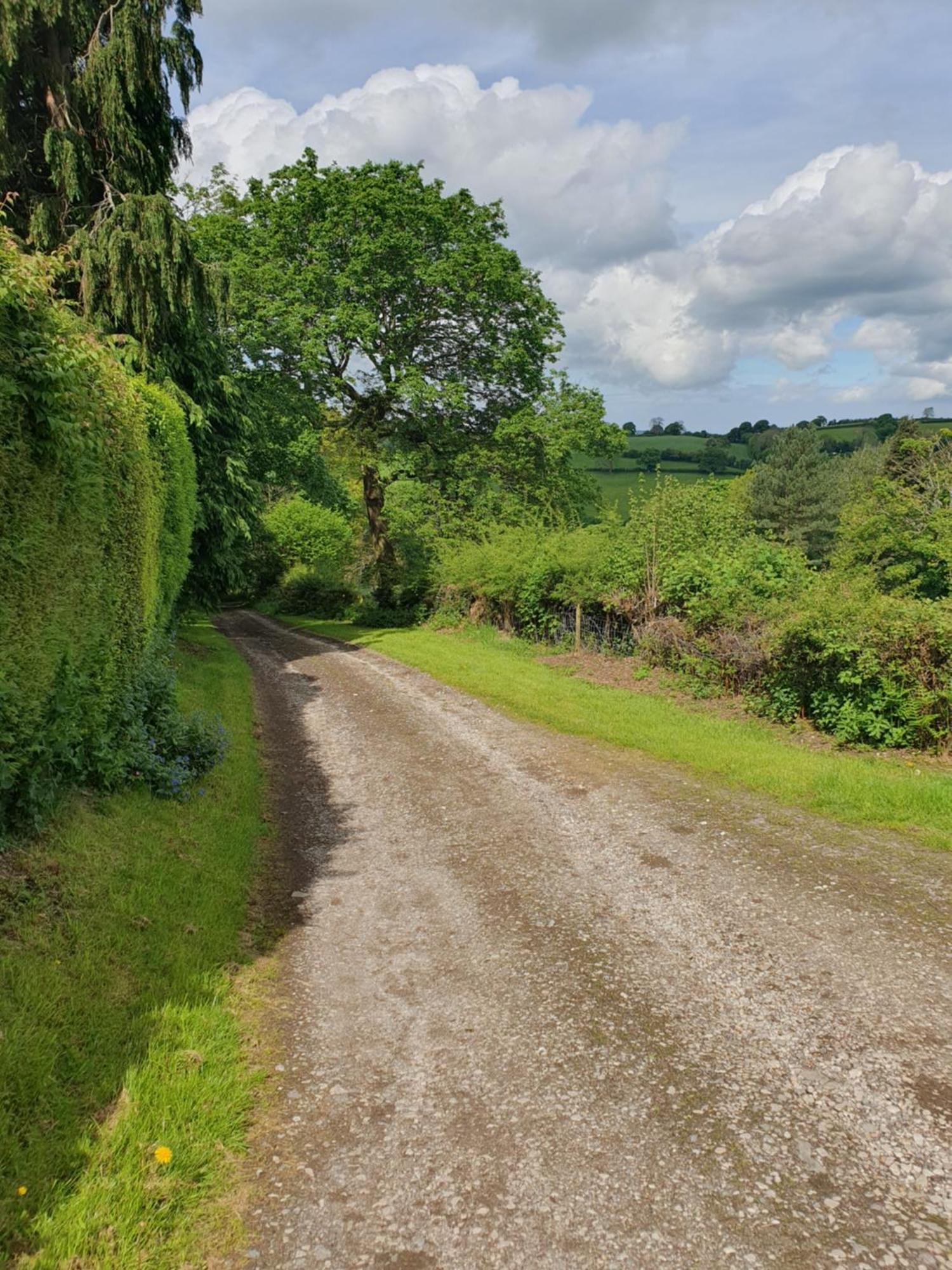 Northwales Aonb Static Caravan Extremely Private And Rural Campsite Caerwys